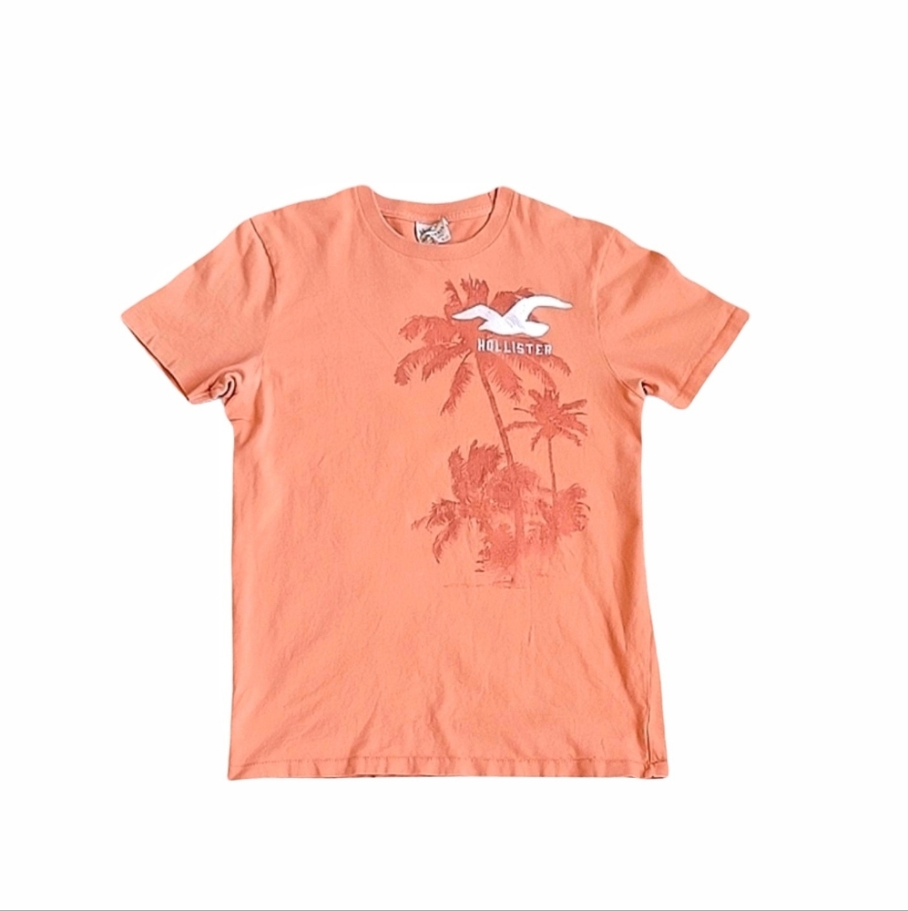 Hollister Men's T-shirt Vintage Orange Palm Tree Short Sleeve Logo Tee Size L